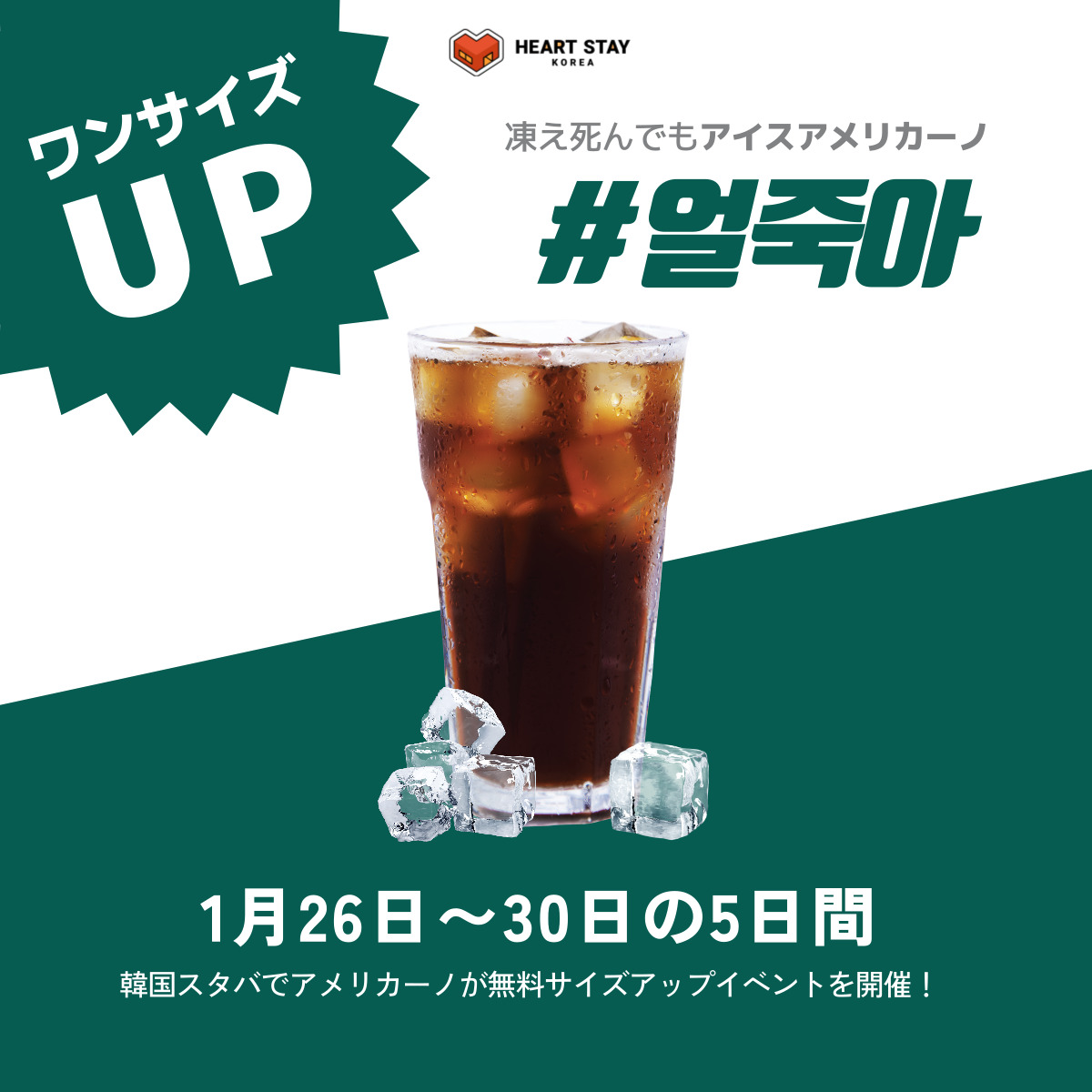ネスカフェ スターバックス アイス アメリカーノの通信販売
