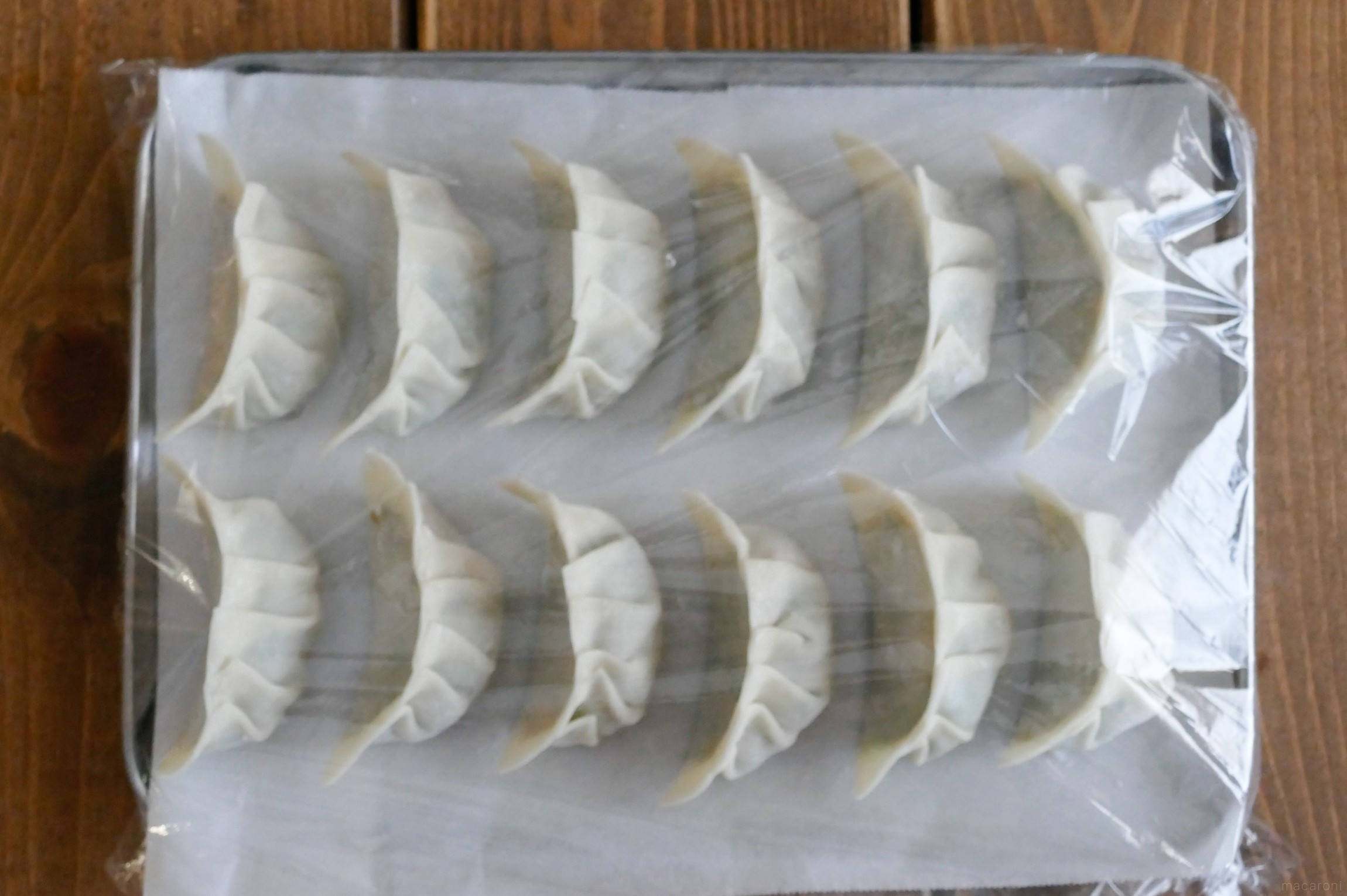 餃子の作り置き、冷蔵・冷凍保存期間はどのくらい？保存方法と注意点を解説！名古屋の餃子カリットギョウザ黄金 公式ブログ