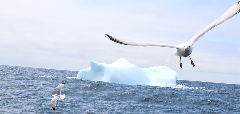 船員「ボンと花火のような大きな音がした」 北ミサイル着弾水域からカニかご漁船帰港 : 読売新聞