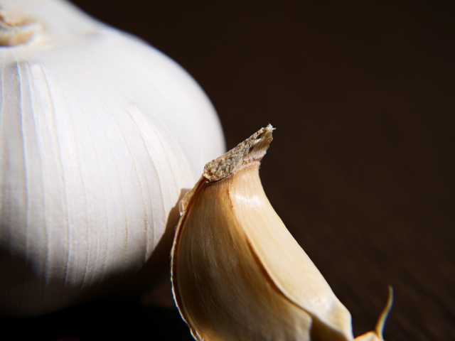 芽が出たニンニクを春に植え付けて育てます。収穫できる大きさに成長するでしょうか？ - 春色ソレイユ