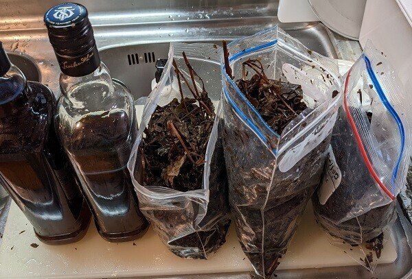 減塩塩こんぶで豚肉とかぼちゃの炒め物