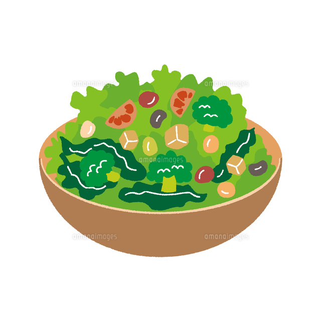 手描きイラスト素材 洋食 野菜, サラダ, レタス, グリーンサラダ144801467 毎月1点無料 フリー のストックフォト イメージマート