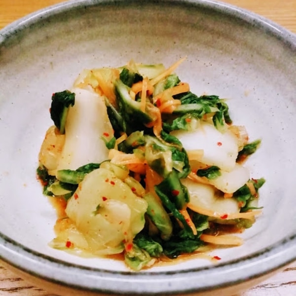 白菜の浅漬けキムチ