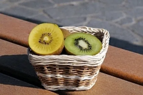 農家が教えるキウイの育て方 初心者でも簡単に栽培できるフルーツNo.1！マイナビ農業