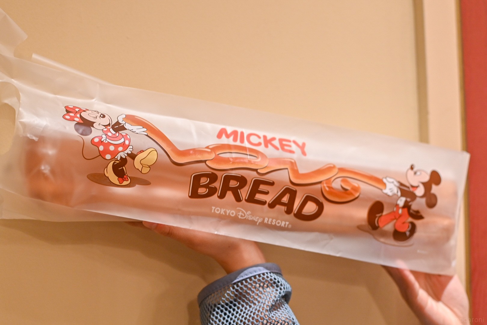 勝手にテイクアウトで４０周年フード 40周年のディズニーシー⑲TDR40周年を楽しむ２泊３日その35 : アラフィフ主婦のディズニー年パス日記