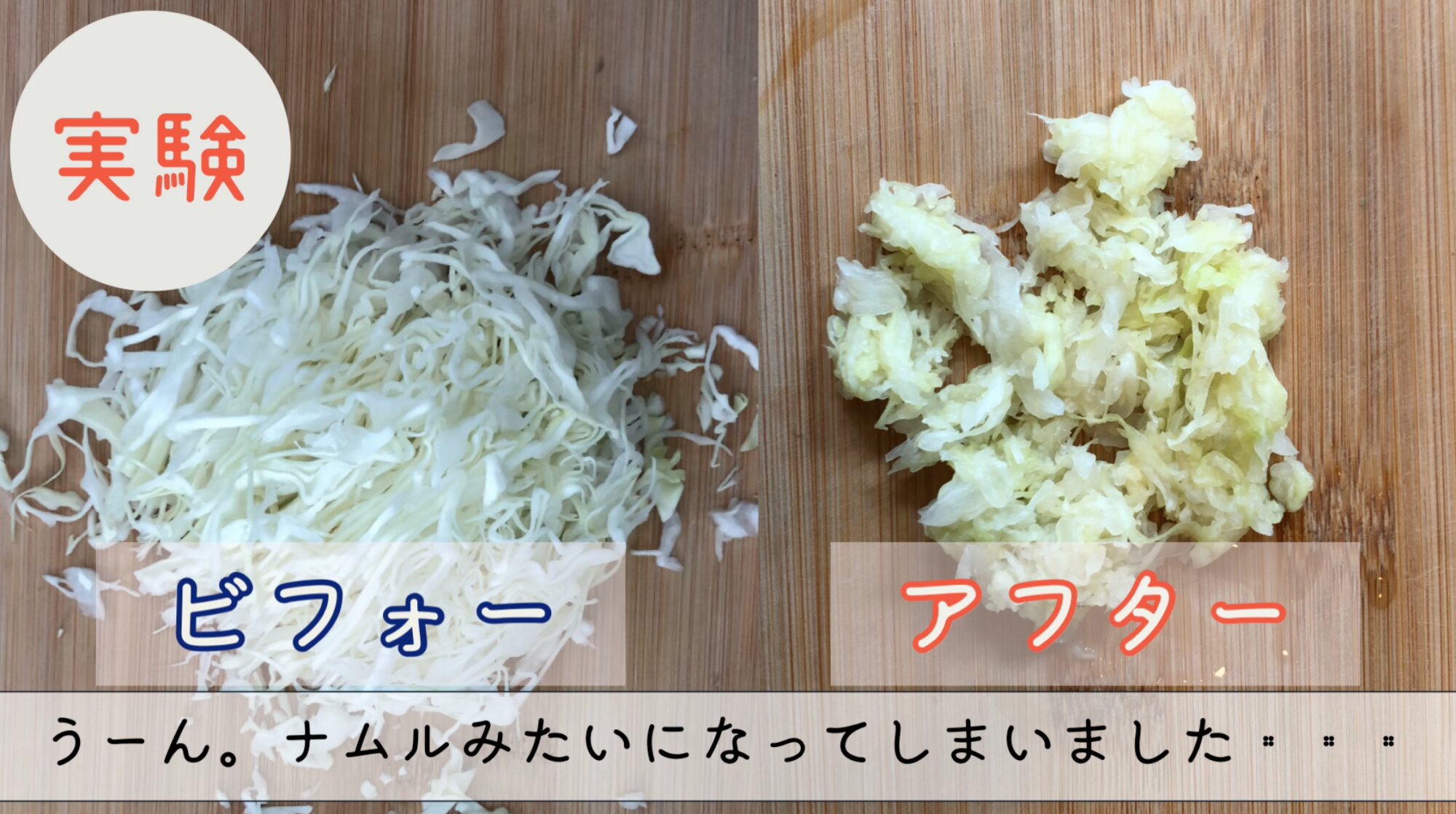 半分に切ったキャベツ、どう保存する？そのまま冷蔵庫に入れるのはNG！元スーパーの店員が解説 ぱるとよ- エキスパート - Yahoo!ニュース