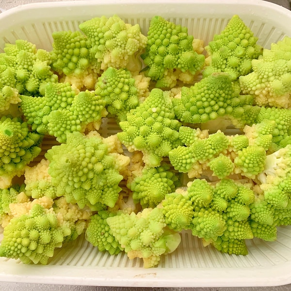 Vol.10 使いわけたい、“蒸す”“茹でる”ひとてま上手 カゴメの通販 カゴメ健康直送便