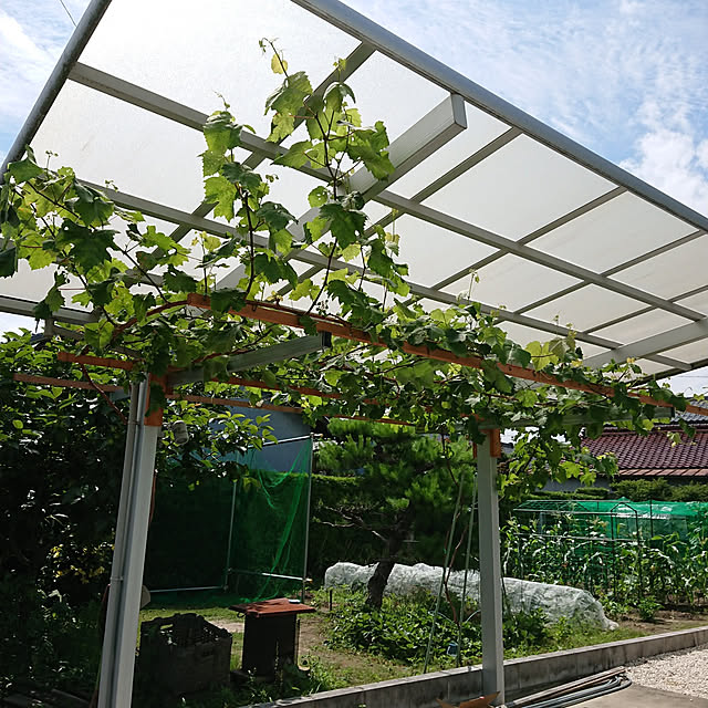 アーチ ガーデンアーチ パーゴラアーチ 藤棚 ぶどう棚 葡萄棚 園芸棚 園芸 ガーデン 屋外 フラワー 庭 誘引 ガーデニング おしゃれ diy 3台セット 固定金具 : S.K.YSHOP - 通販 - Yahoo!ショッピング