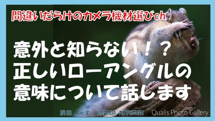 マンガ『イコールの意味』 いつも無意識に入力している『=(イコール)』.. | 筒井.xls@エクセル関数擬人化本著者 さんのマンガ