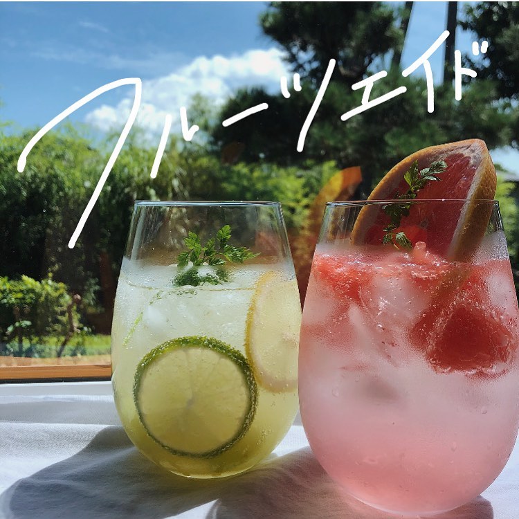 エードとはどんな意味?手軽なレシピもご紹介デリッシュキッチン