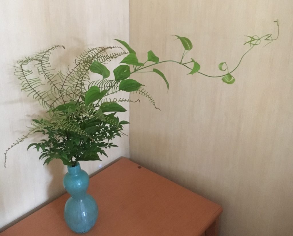 南天の葉10カット なんてん万両2個料理のあしらい飾りフリマアプリ ラクマ