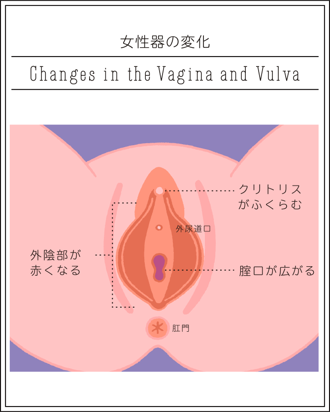 おちんちん、おまんこに入っちゃったよ」「腰が動いちゃってるの？おまんこ気持ちいい？」友人の母の下着姿に誘惑されて - ぱいぱいエロ美