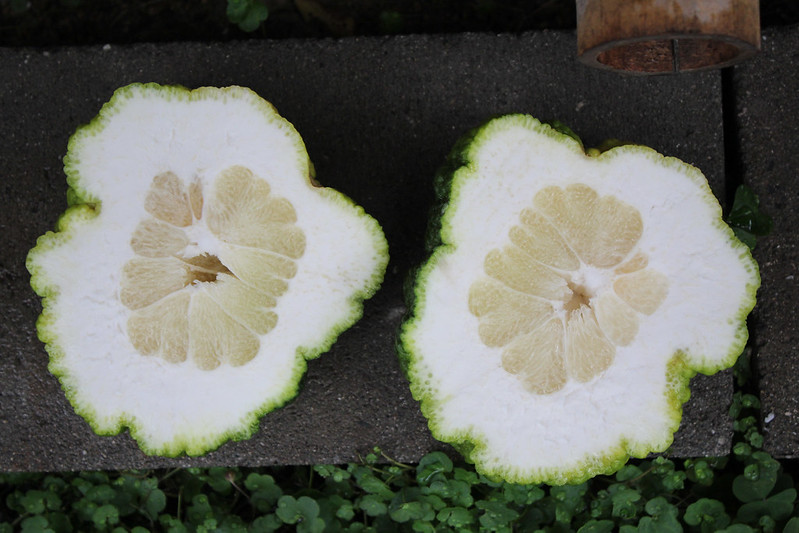 世界で食べられる珍しいフルーツ！カンボジア海外旅行・シェムリアップ便り from アメミル