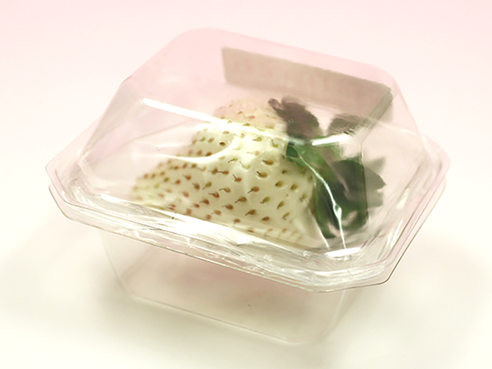 旬の国産いちごを最大12種食べ比べできる「超いちご箱」！ フルーツの専門家が全国の美味しいいちごを詰め込んだセットの販売をスタート！victoriafruit株式会社のプレスリリース