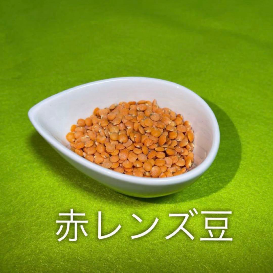 レンズ豆のキーマカレ