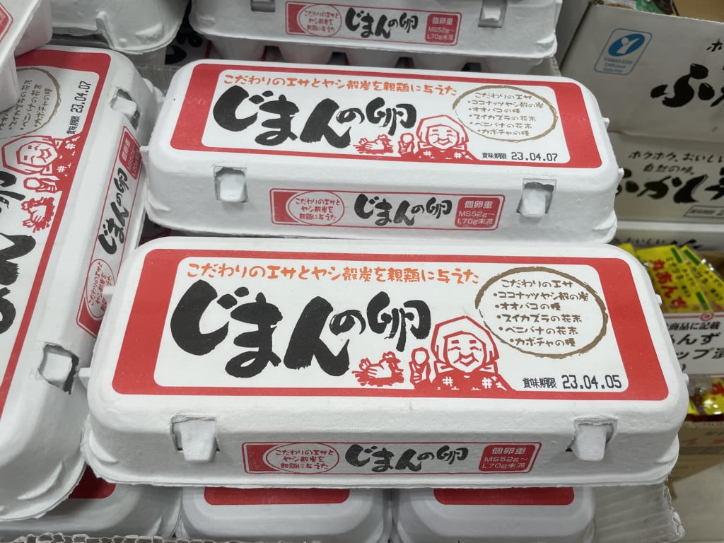 大人気の生うどん！麺好きの天国・大進食品の工場直売に行ってみた。横田 裕市 写真家×編集者