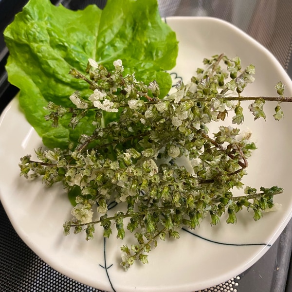 大葉の天ぷら２つの揚げ方 和食屋が教える！食感を活かす揚げ方と風味を活かす揚げ方 基本の和食