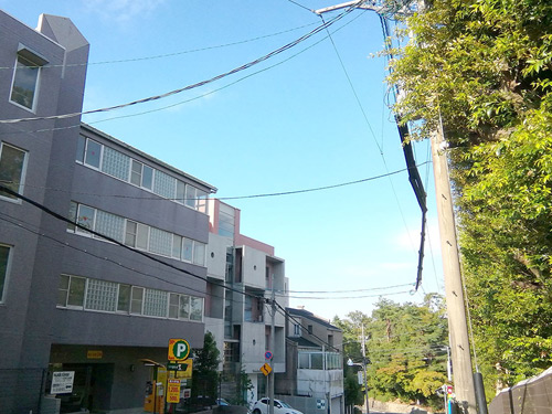 内観写真集 – 南山大学・名古屋大学へ徒歩圏内。家具家電付き女子学生向けマンションマドリーヌ ドゥ