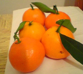 メイド・イン・フランスMade In France CD- クレモンティーヌ - UNIVERSAL MUSIC JAPAN