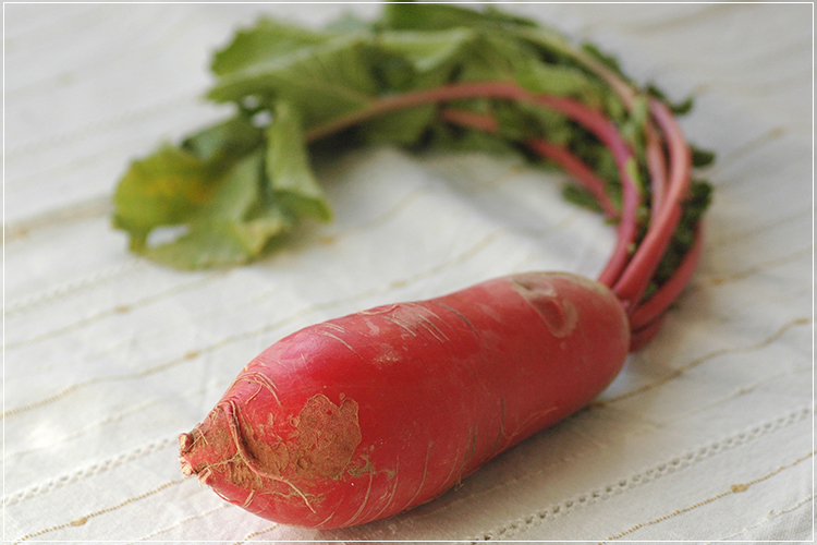 赤い野菜をもっと鮮やかに！華やか料理への活用法を検証食オタ食の資格者のためのコミュニティ