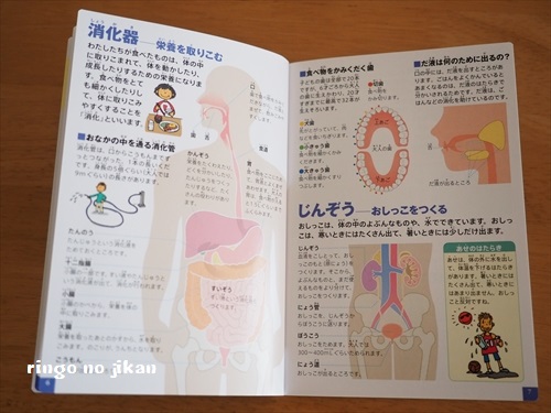 ハッピーセット 図鑑 歴代TikTok