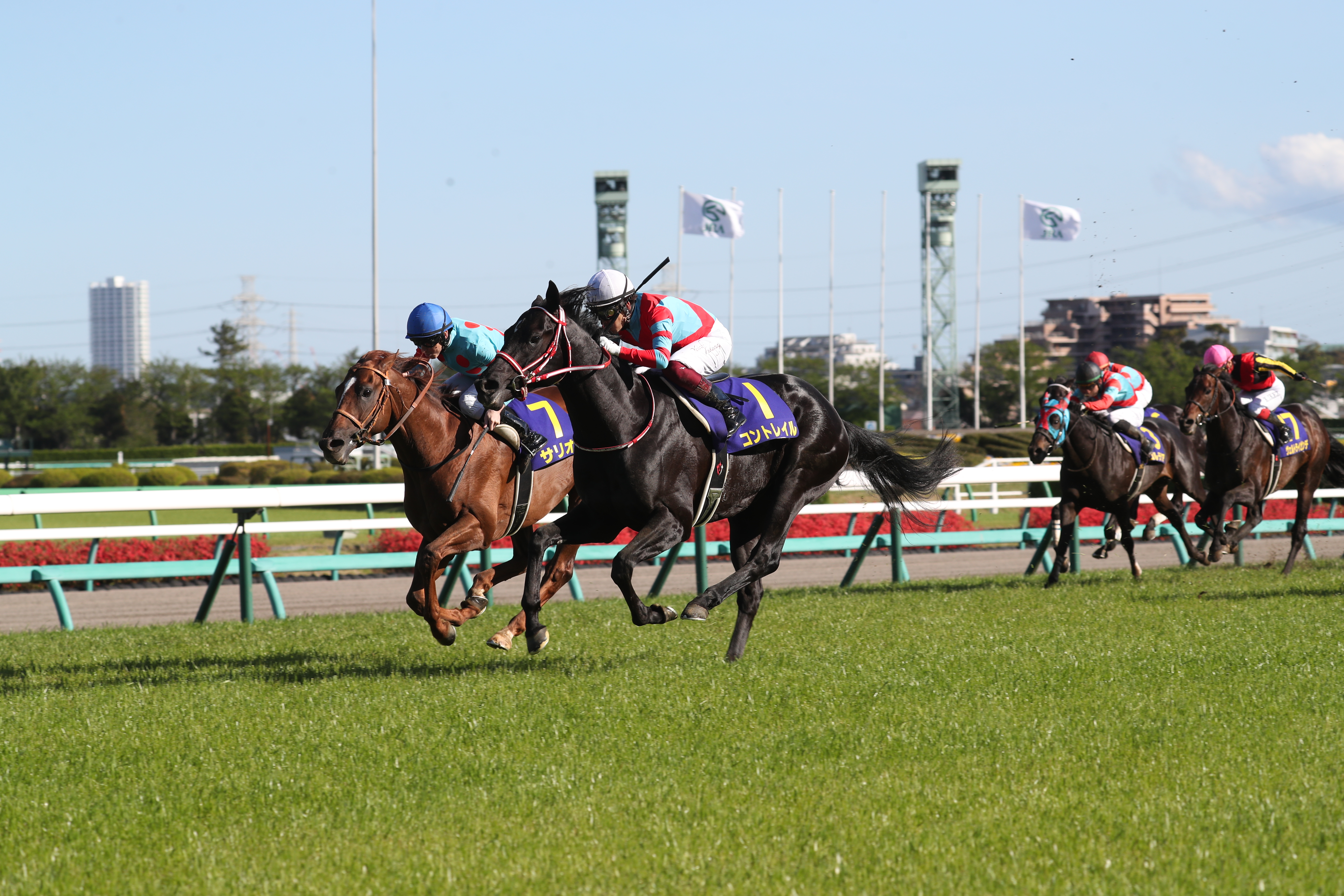 2024/6/30 中央競馬/地方競馬 ラジオNIKKEI賞/北九州記念/佐賀ユースカップ【函館競馬🆓/福島競馬/小倉競馬/盛岡競馬🆓/船橋競馬/高知競馬/佐賀競馬🆓/ばんえい競馬】競馬  競馬予想