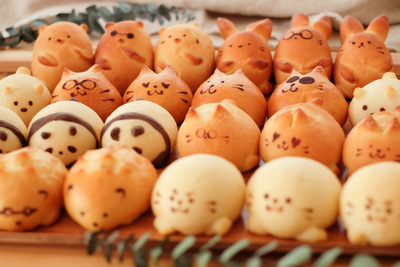 かわいい動物パンの店 Shou Shou シュシュ 自由が丘店 -東京都 の詳細情報ことりっぷ