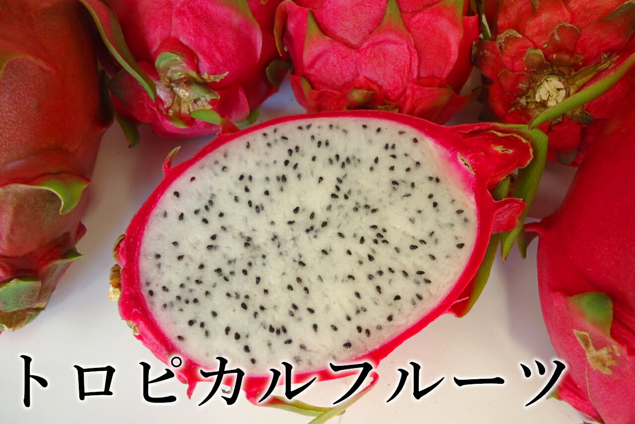 こんな果物見たことない！」ベトナムで食べたい南国フルーツ8選海外転職・アジア生活BLOG