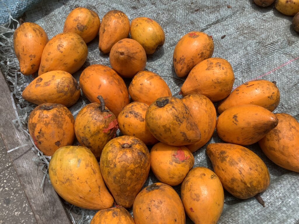 グミの実とは？その特徴や食べ方についてご紹介しますデリッシュキッチン