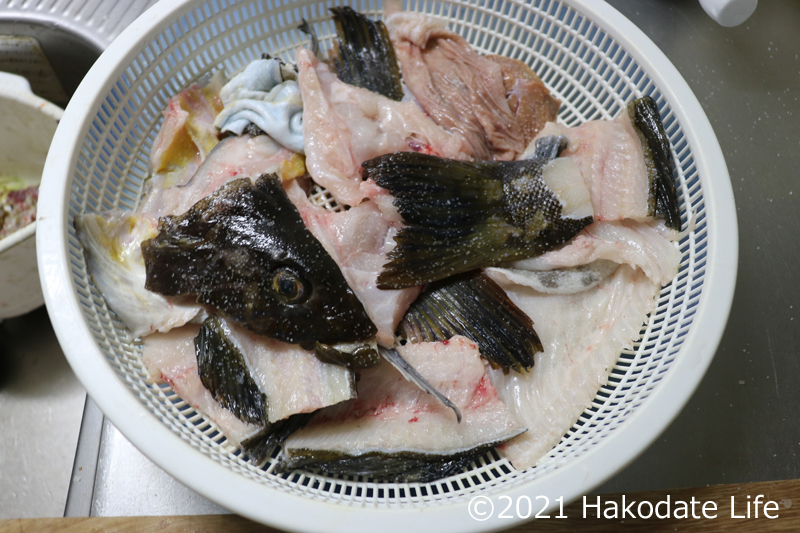 アイナメ 鮎並、アブラコ、油子 を食す～アイナメの寄生虫と捌き方Hakodate Life