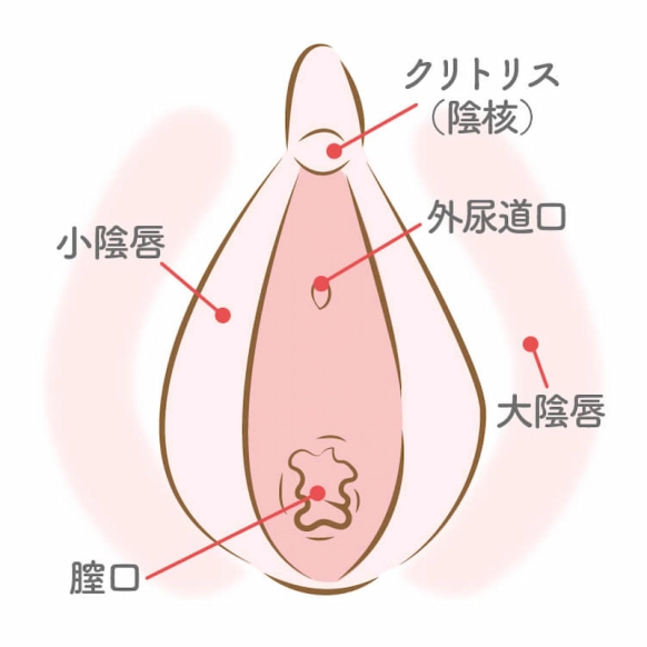 AV男優しみけんのテクニックをまとめてみた！キス・触り方・愛撫・挿入など神テクから学ぼう | Men's