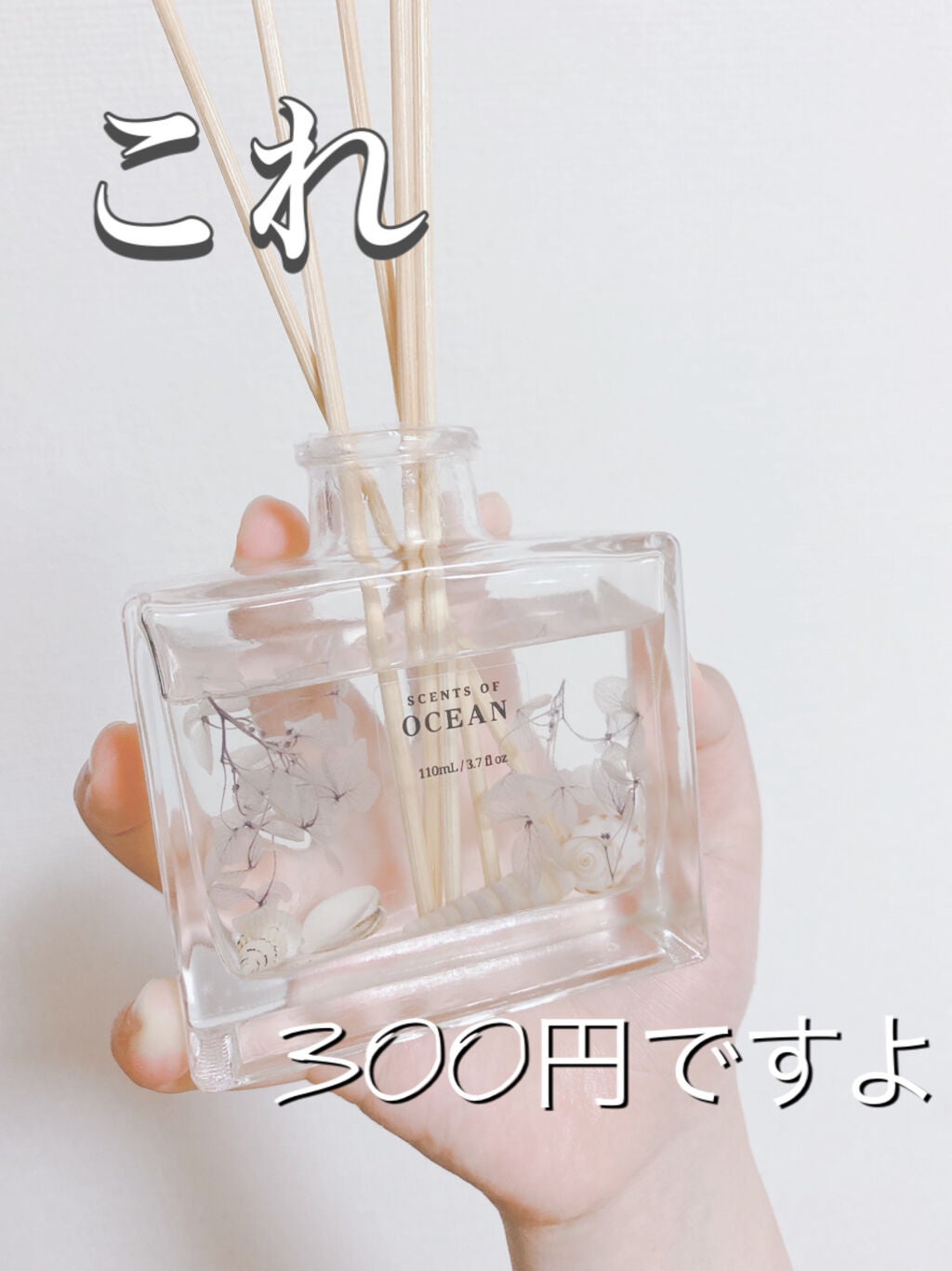 お部屋の匂いが気になる時に使いたいおすすめのダイソーの芳香剤エアコンにプラスするだけで驚きの消臭除菌「AC plus」