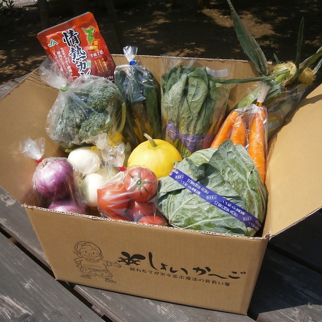 あぐりん村の新鮮野菜宅配BOX クール便配送期間 - 愛知県長久手市ふるさとチョイス - ふるさと納税サイト