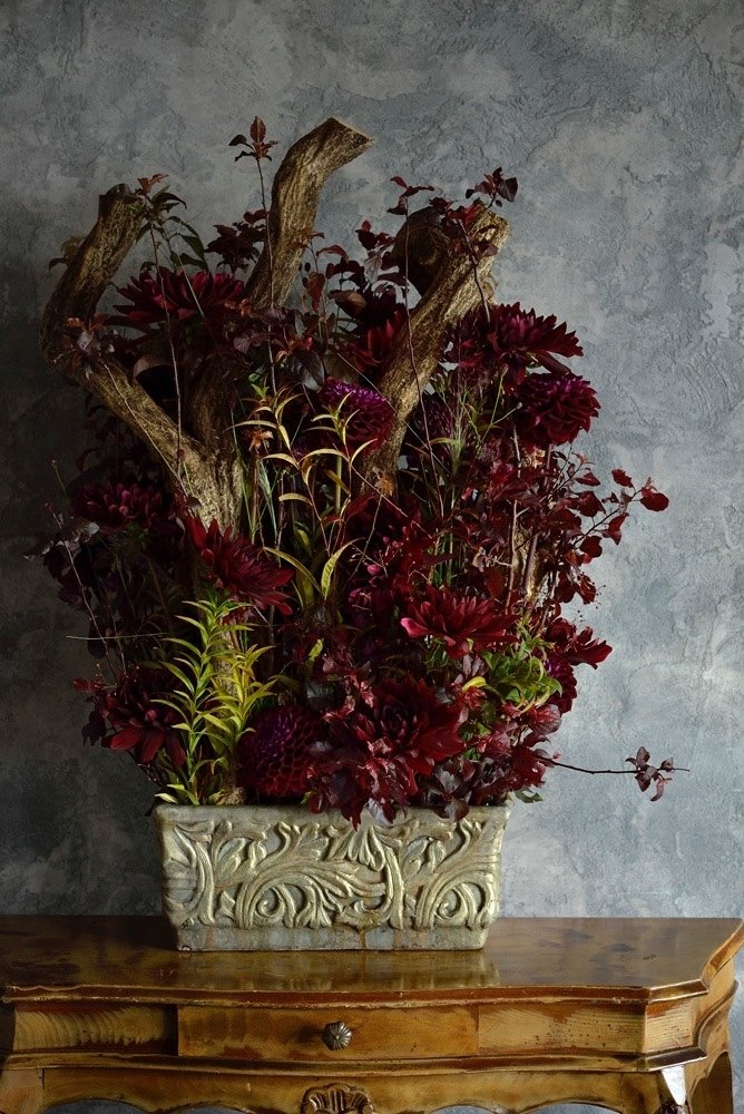 カラー花ブログ