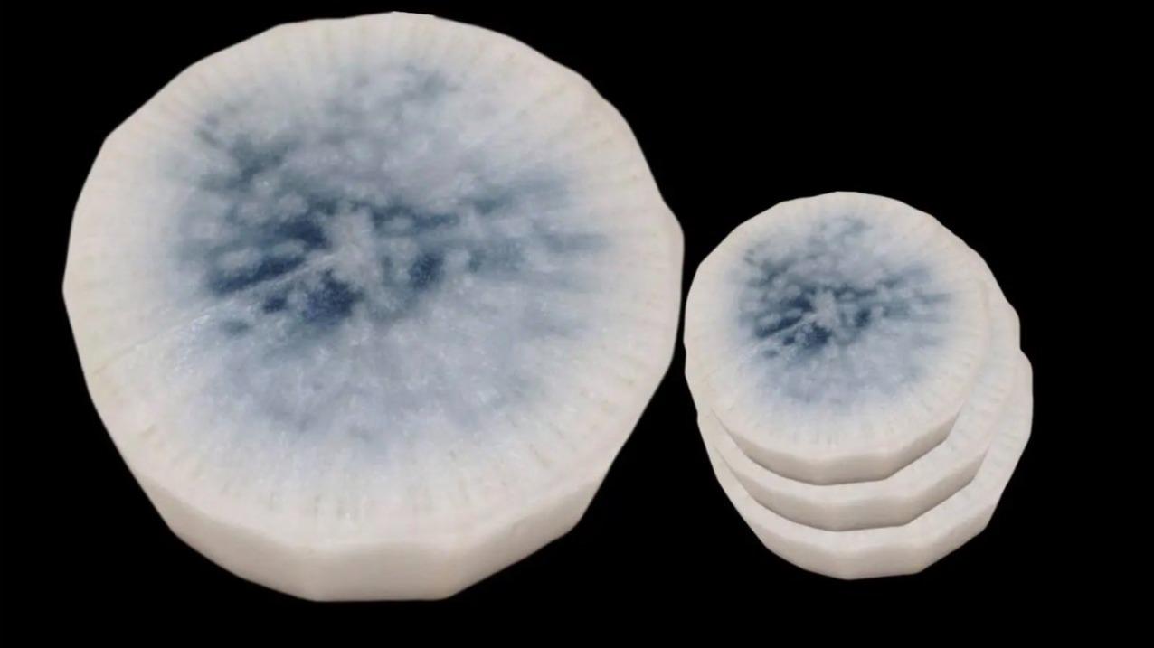 大根の中が黒いんです八百屋のオッサンのひとりごと