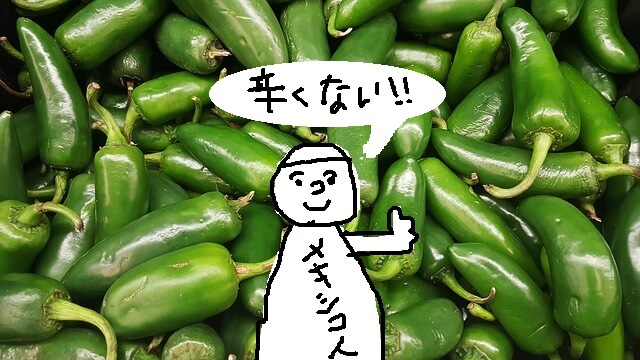 メキシコ楽食日記ひとつむぎ blog