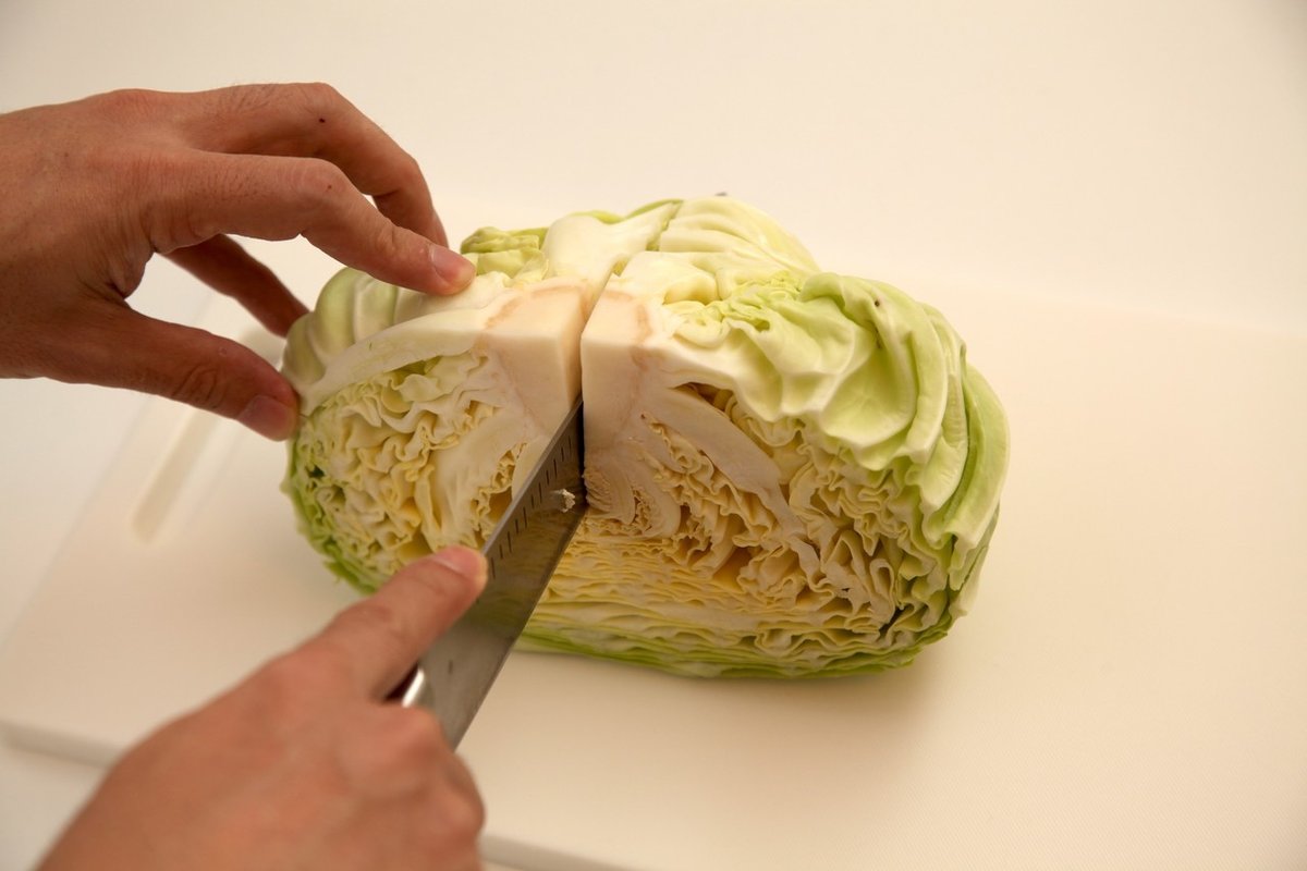 キャベツの切り方 一口大