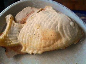 プロを目指す方のためのたい焼きの作り方