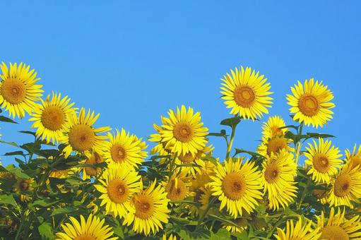 コラム仁愛中国鍼灸院