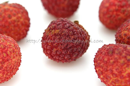 ライチ レイシ焼酎SQUARE