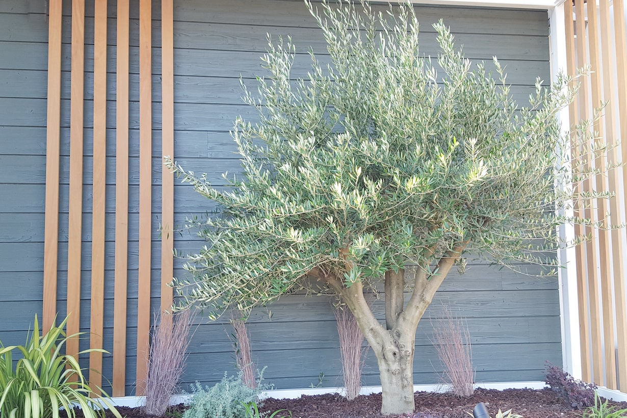 エクステリアデザイン神戸 on X: 