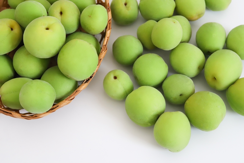 ブルーベリーってどんな果物？ブルーベリーの種類や特徴について解説産直プライムブログJA連携！産地直送通販なら産直プライム