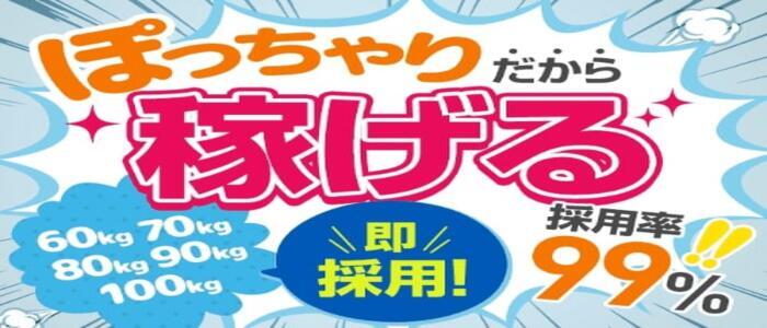 大阪激安ぽっちゃり専門 八尾藤井寺羽曳野ちゃんこ公式サイト