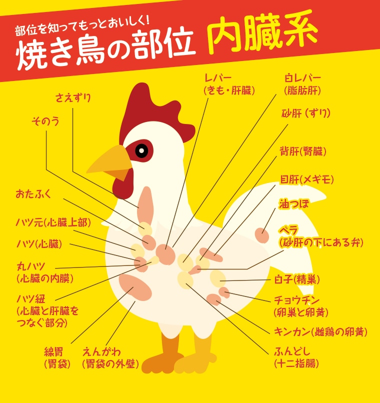 鶏 鶏肉 部位 図解のイラスト素材 - PIXTA