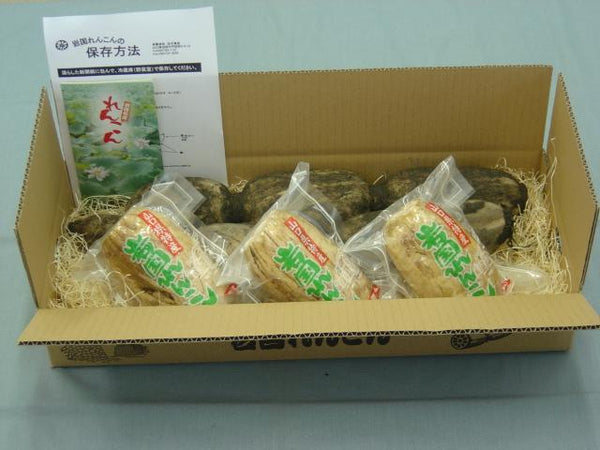 あなたもれんこん博士に！穴の秘密や保存方法、おいしい食べ方も聞いてきました。SATETO さてと