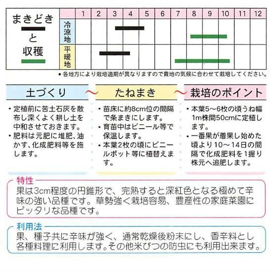 再生栽培 鷹の爪の種を蒔いてみたらどうなる？ 2024年園芸ラボ