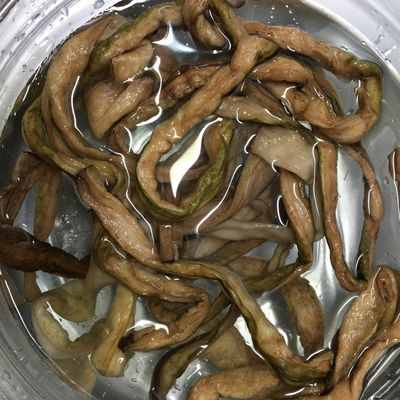 基本からアレンジまで!思わずつくりたくなる「ずいきの下ごしらえ」のレシピ集クックパッド