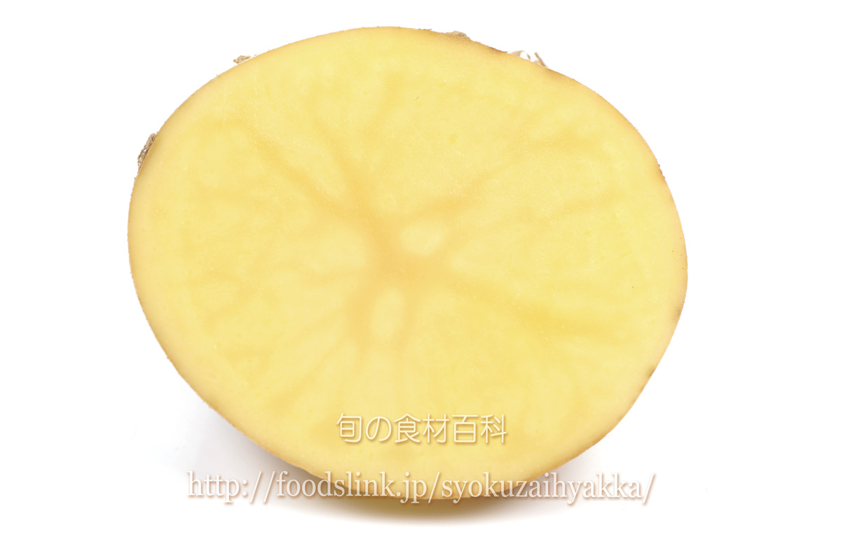 珍しい赤いじゃがいものレシピを作ってみました！ 綺麗なピンク色になって可愛い✨ ポテトサラダは、市販のものに赤いじゃがいもだけ混ぜても、手軽に可愛くできますよ🥰西海31号 ドラゴンレッド は、煮崩れにくく、メークインと男爵の中間くらいの感じなので、どんな