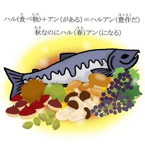 イルカはごはんをどうやって食べるの？城崎マリンワールド 水族館以上、であること