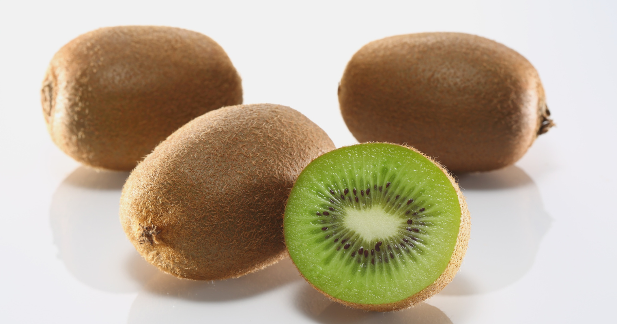 追熟必須！貯蔵性に優れたキウイフルーツ「ヘイワード」株式会社まつの